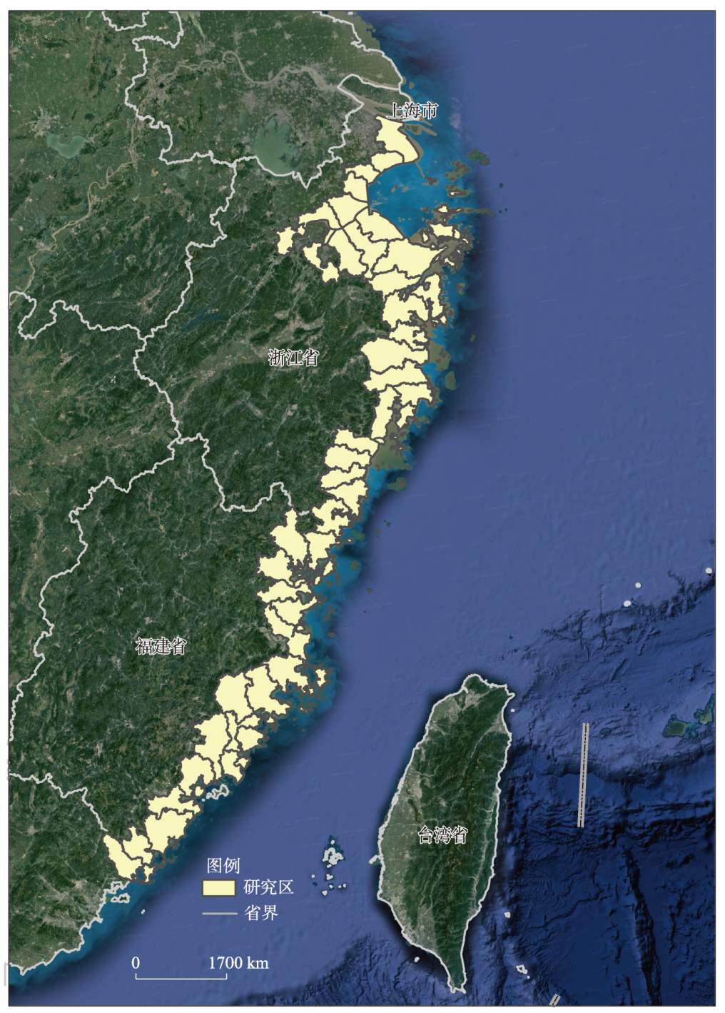 GrassRoots FOREST 改造多数｜楽器 